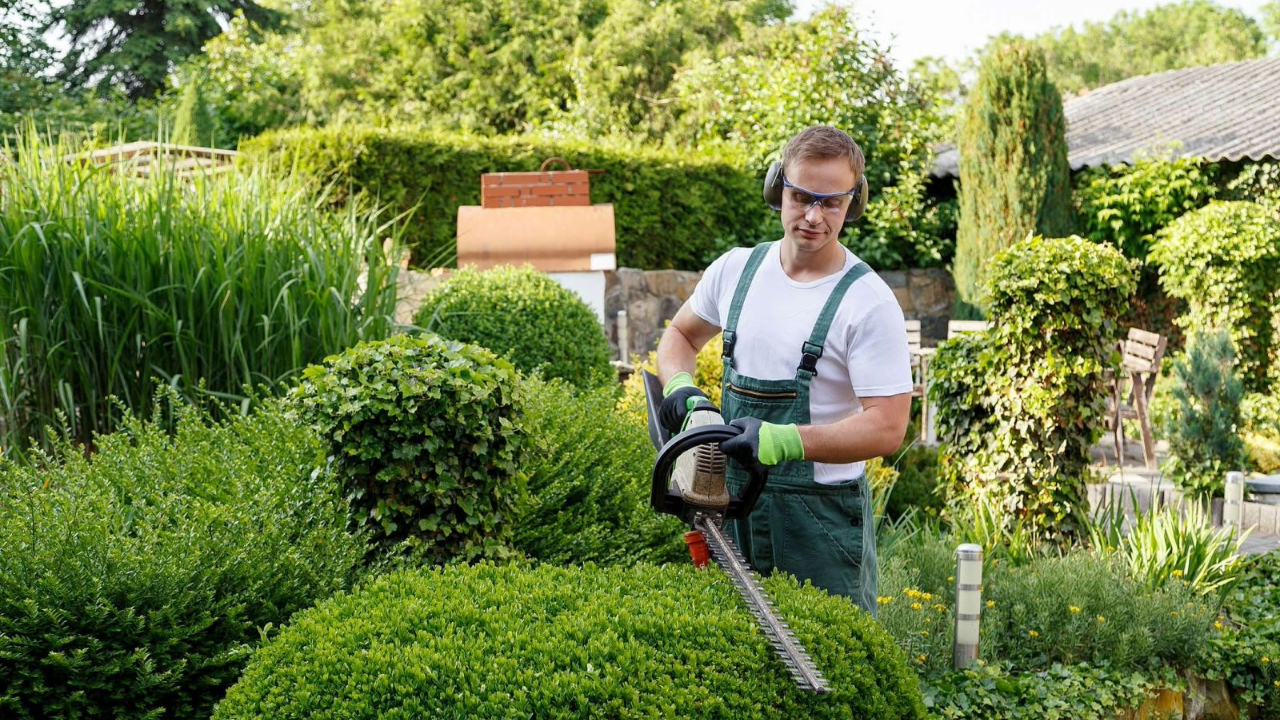 Kuriositäten aus der Welt der Gartenarbeit