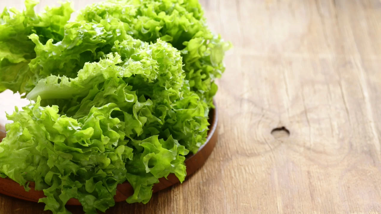 Say goodbye to wilted lettuce leaves in the fridge